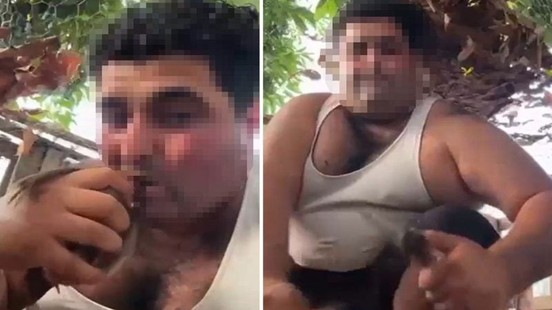 Kuşların kafasını ısırarak koparan o vahşi tutuklandı