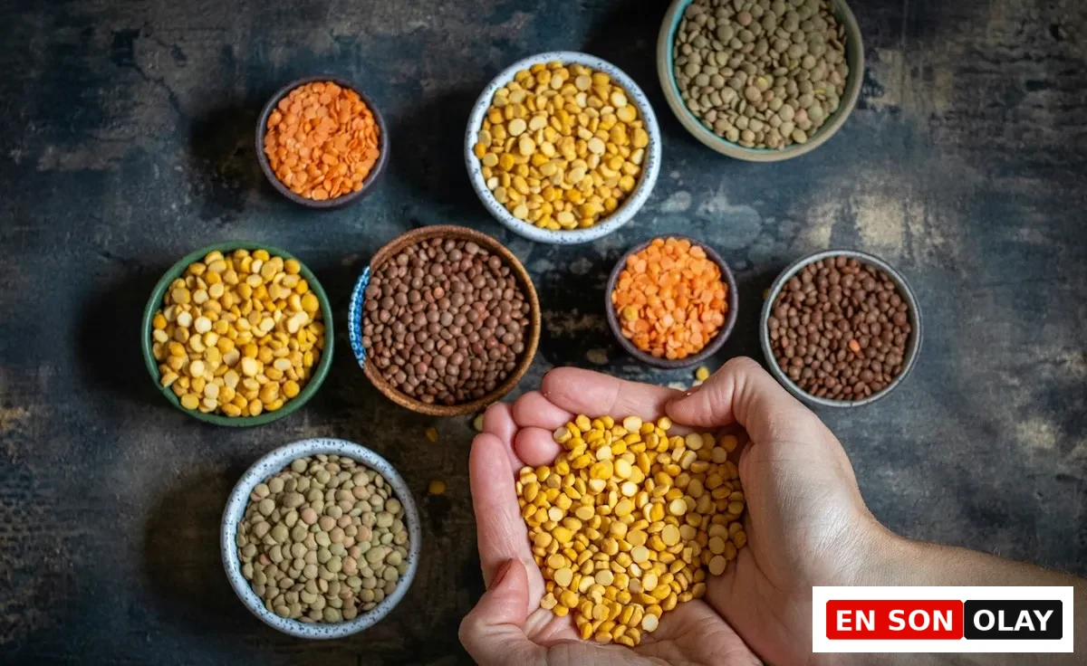 Koyu renkli bir yüzey üzerinde, farklı renkte mercimekler ve sarı bezelyeler gibi lektin içeren bakliyatların küçük kaselerde bulunduğu ve bir çift elin avuçlarında bol miktarda sarı bezelye tuttuğu detaylı bir görüntü.