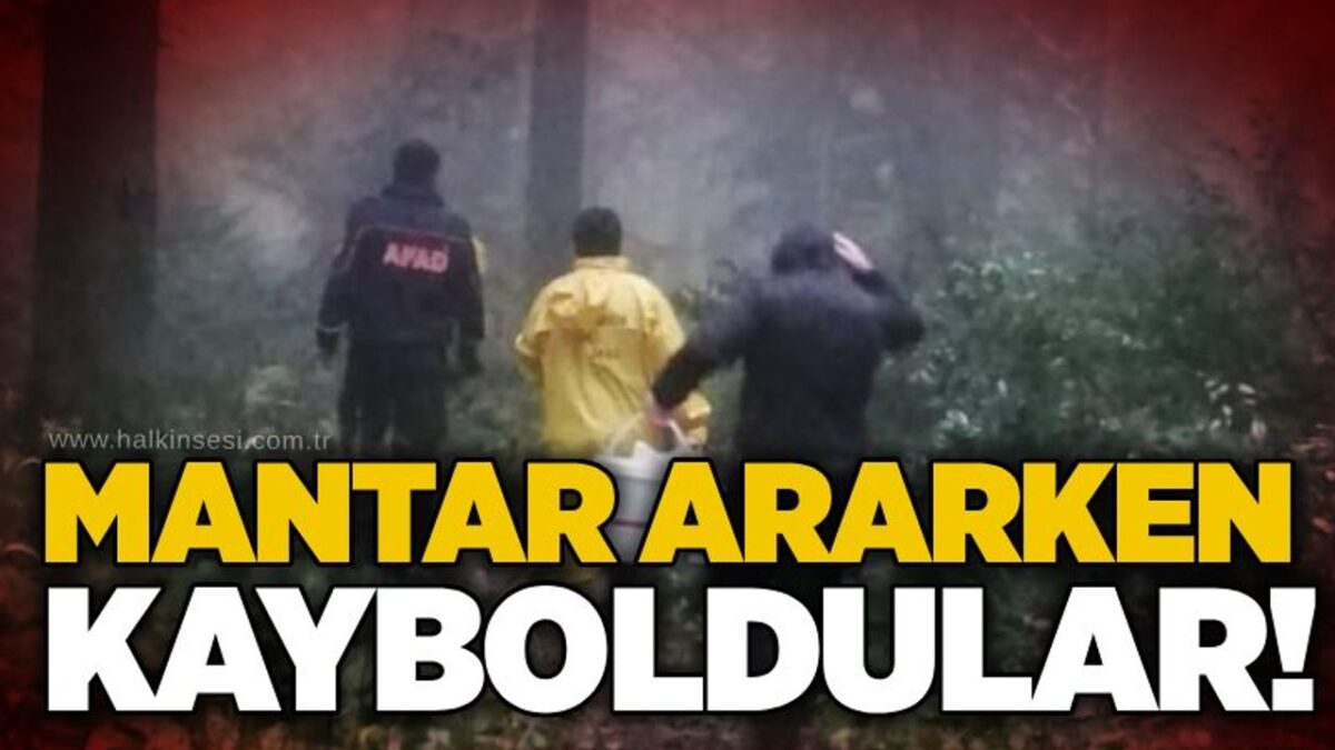 Mantar ararken kayboldular!