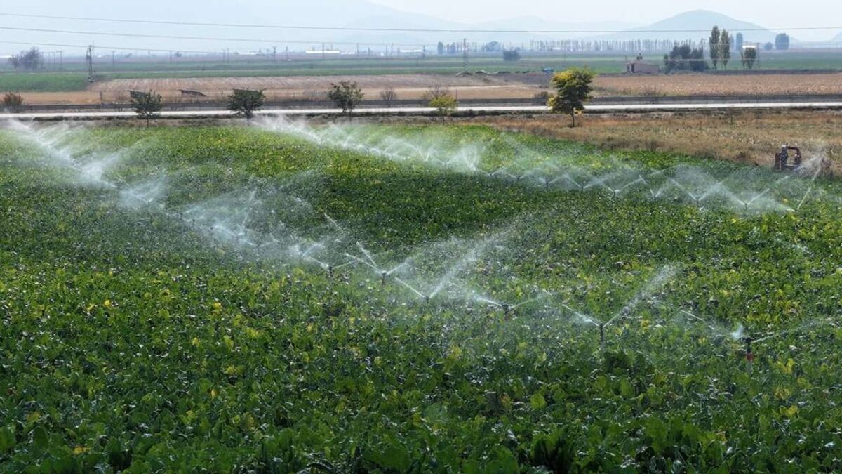 MASRAFLAR YÜZDE 25 DÜŞÜYOR