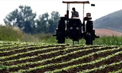 Tarımda üretici fiyatları eylülde geriledi: En yüksek düşüş meyvede