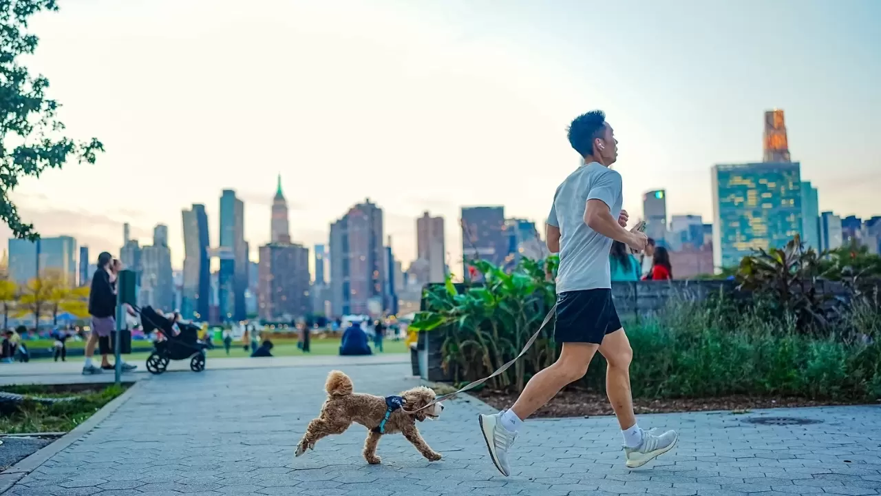 Manhattan’ın göz alıcı gün batımı şöleni! 5