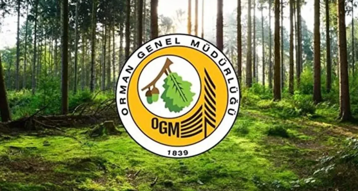 Orman Genel Müdürlüğü personel alımı yapacak! Başvuru tarihleri belli oldu