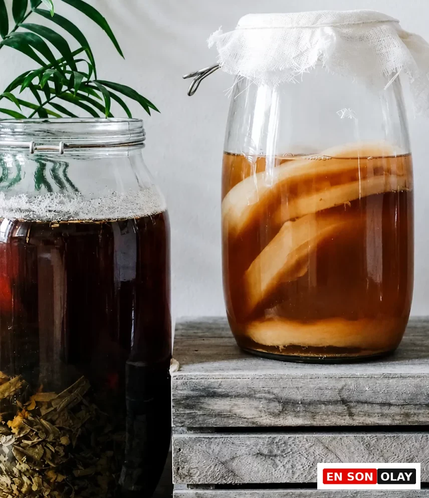 Kumaş örtülü bir cam kavanozda yüzen açık renkli SCOBY katmanlarıyla mayalanan kombucha ve bitki bazlı koyu renkli bir karışım içeren kapaklı diğer cam kavanoz, postbiyotikler ve fermente içeceklerin evde hazırlanışını gösteriyor.