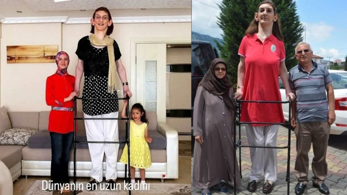 Rümeysa Gelgi Kimdir, Kaç Yaşında, Nereli, Boyu Kaç?