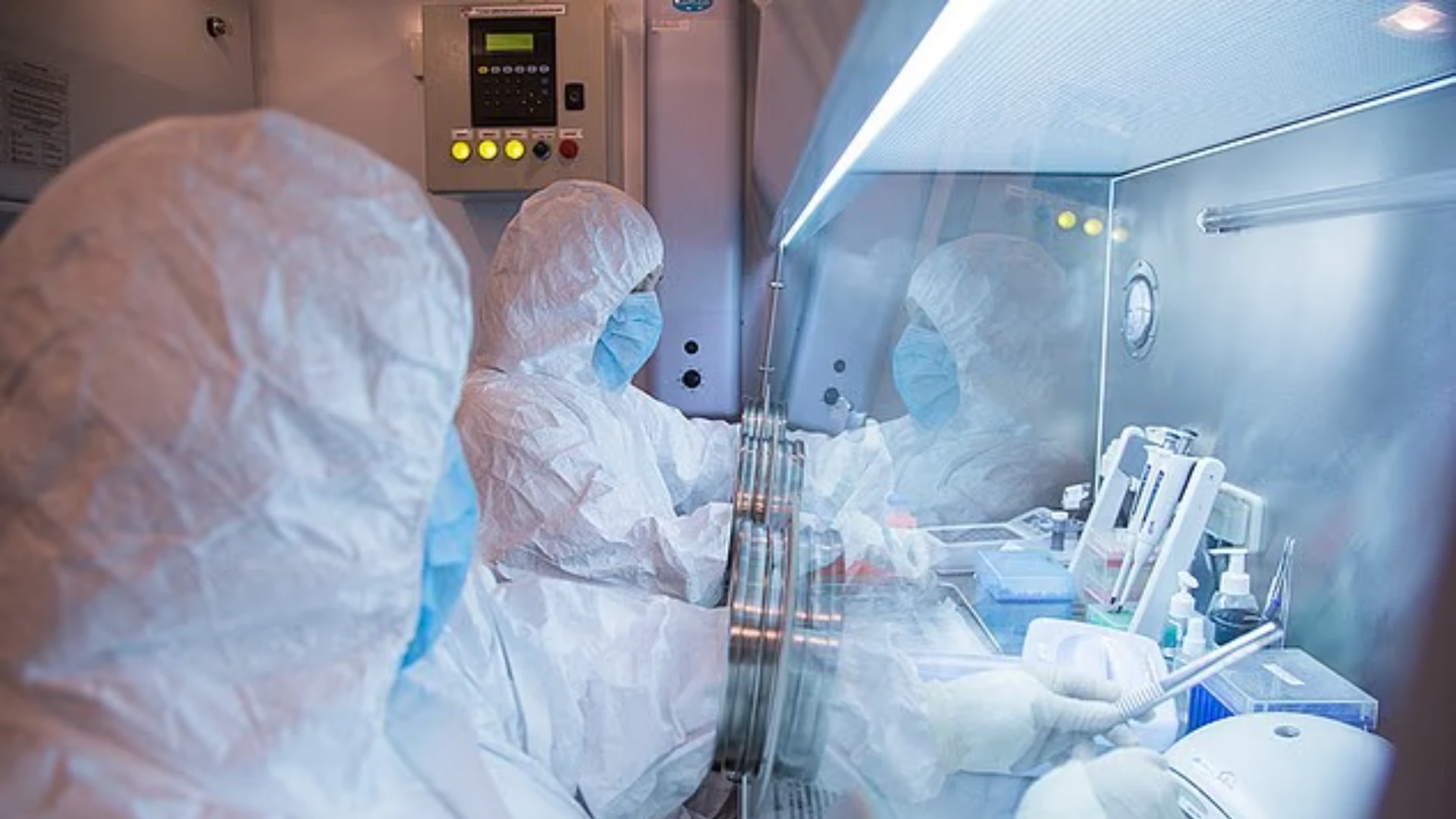 Veba nedir?Veba, Yersinia pestis adlı bakterinin neden olduğu bir enfeksiyondur. 14. yüzyılda "Kara Ölüm" olarak bilinen veba, antibiyotiklerin keşfinden önce yüzyıllar boyunca dünyanın farklı bölgelerinde büyük salgınlara yol açtı. Dünya Sağlık Örgütü'ne göre hastalık üç ana biçimde görülüyor: hıyarcıklı veba, akciğer vebası ve septisemik veba. Üçünün de nedeni Yersinia pestis bakterisi olsa da vücudun farklı bölgelerini etkiliyor. En yaygın türün hıyarcıklı veba olduğunu belirten Morici'ye göre hastalık çoğunlukla enfekte pirelerin ısırması veya enfekte kemirgenlerle doğrudan temas yoluyla bulaşıyor. Bu durumda lenf bezlerinde ağrılı ve şişlikler meydana geliyor. Hastalık genellikle insandan insana bulaşmıyor. Ancak tedavi edilmediğinde bakteriler akciğerlere ulaşarak akciğer vebasına dönüşebiliyor. Bu tür, solunum yoluyla yayılan damlacıklar aracılığıyla insandan insana bulaşabiliyor. Septisemik veba ise bakterilerin kana karışıp çoğalması ve vücuda yayılmasıyla ortaya çıkıyor.