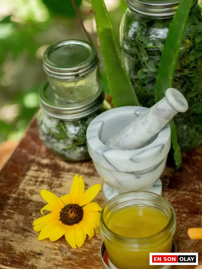 Güneş sonrası bakım ve aloe vera temasına uygun olarak, ahşap bir yüzeyde yer alan doğal malzemeler: havan ve havaneli, içinde yeşil yapraklar olan cam kavanozlar, taze aloe vera yaprakları, parlak sarı bir çiçek ve açık bir cam kapta sarı-yeşil tonlarda hazırlanan bakım ürünü.