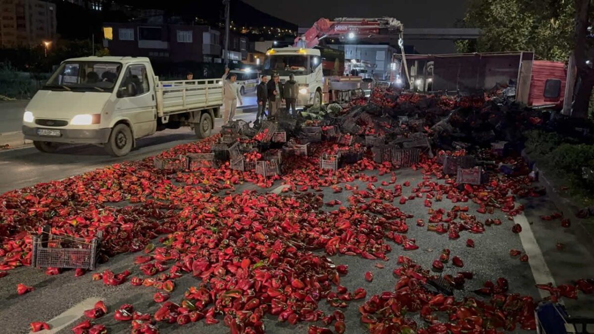 Samsun’da kamyon devrildi: 10 ton biber yola saçıldı