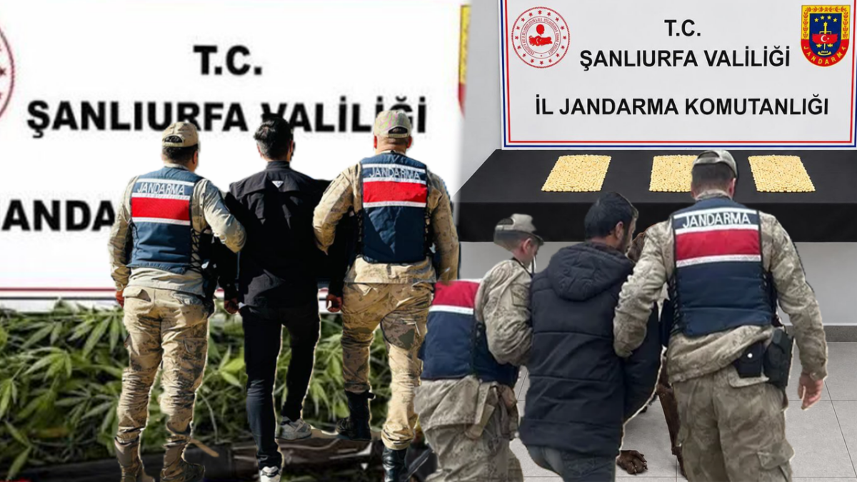 Şanlıurfa Jandarması aranan 2 şahıs kıskıvrak yakaladı
