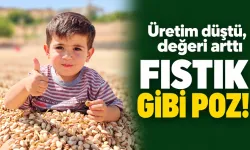 Üretim düştü, değeri arttı