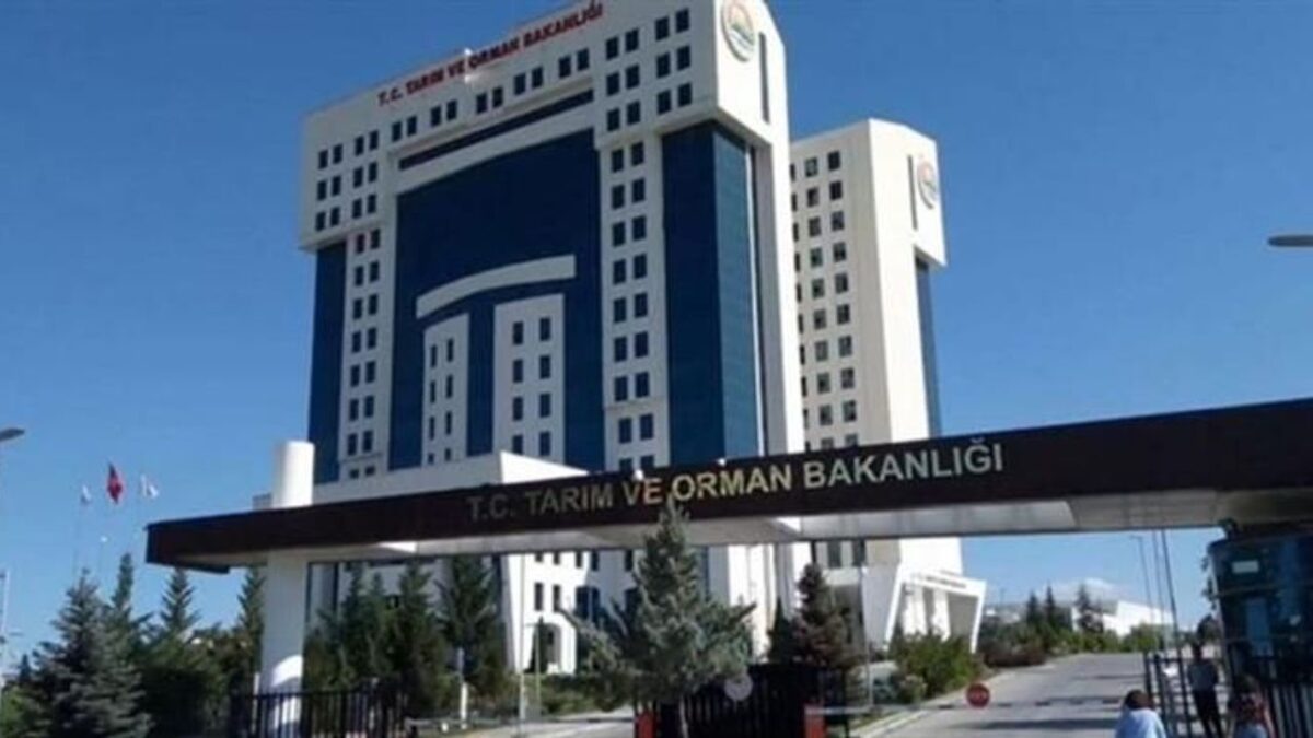 Reçelde meyve oranı artıyor: 1 kilogramda en az 450 gram meyve