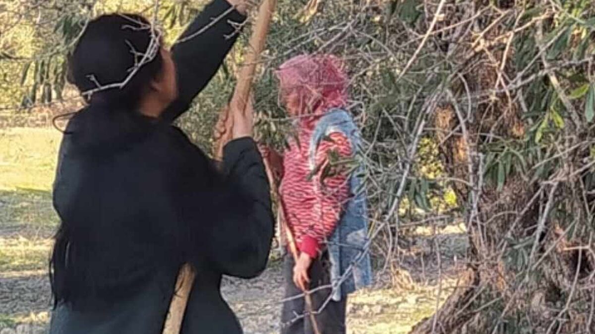 Üretici hasadı hemen durdurun çağrısı yaptı: Türkiye'nin üretim üssüydü