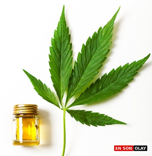 Wellness Dünyasının Yeni Gözdesi: CBD Yağı