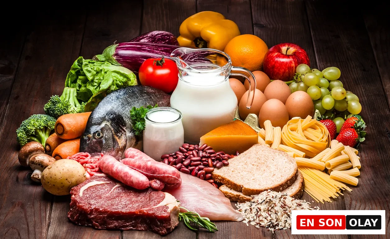 Protein, karbonhidrat ve sebzelerden oluşan farklı beslenme modellerini temsil eden gıda düzeni